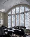 Hunter Douglas Silhouette Window Shading