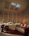 Hunter Douglas Duette Window Shades