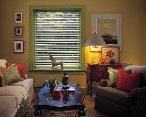 Hunter Douglas Alouette Window Shading